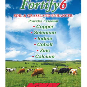 Fortify6 20x25kg bags (500kg) - Image 2
