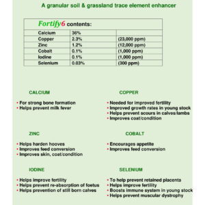Fortify6 20x25kg bags (500kg) - Image 4