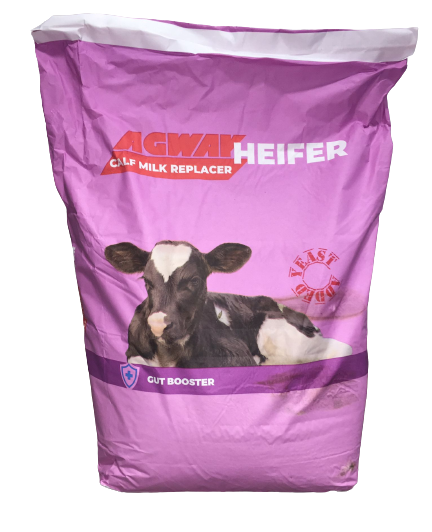 Agway Heifer