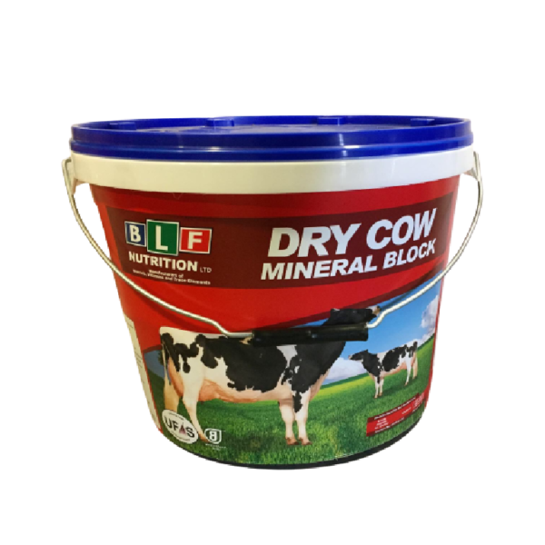 Pre Calver Mineral Block